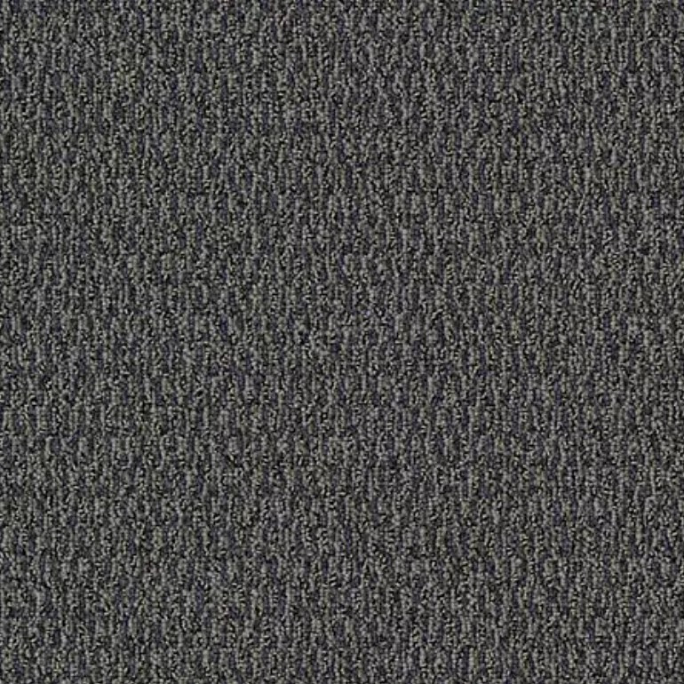 Buy Mohawk Aladdin Traction II Carpet at Georgia Carpet Industries