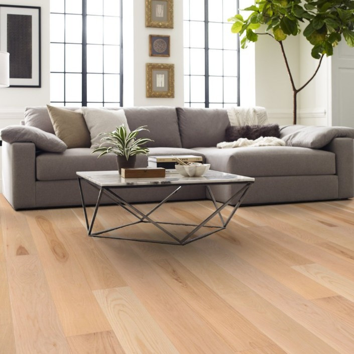 【新品同様】TERRYWOOD Buy Natural Classics Hickory 7