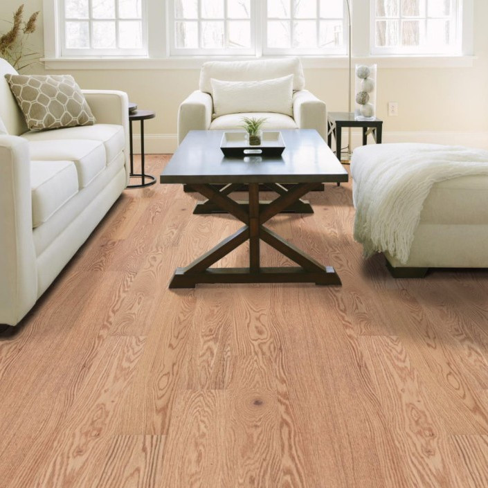 Buy Shaw Red Oak 5