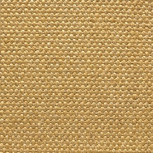 Stanton Sisal Accra Natural Fiber Residential Carpet