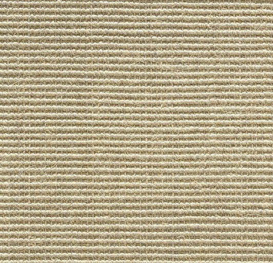 Stanton Sisal Cyprus Natural Fiber Residential Carpet