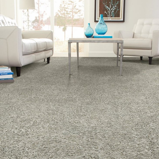 Buy Stanton Shaggy Shimmer Carpet At Georgia Carpet For A Great Value