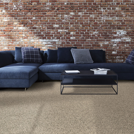 Mohawk Everstrand Chic Comfort 3C49 Residential Carpet Room Scene