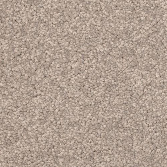 Dixie Home Delight 5453 Residential Carpet