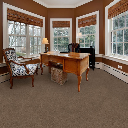 Dixie Home Delight 5453 Residential Carpet Room Scene