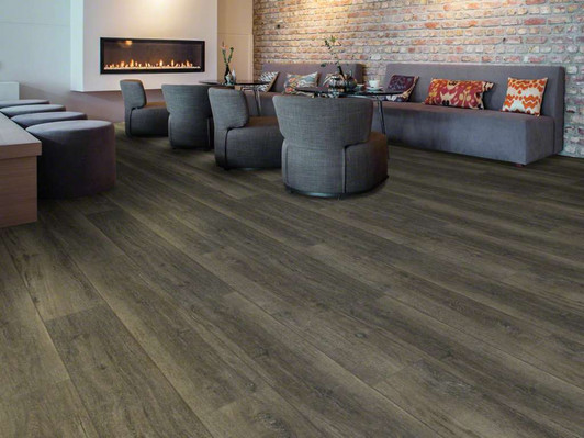 Buy Shaw Florte Blue Ridge Pine Lvp For Low Price