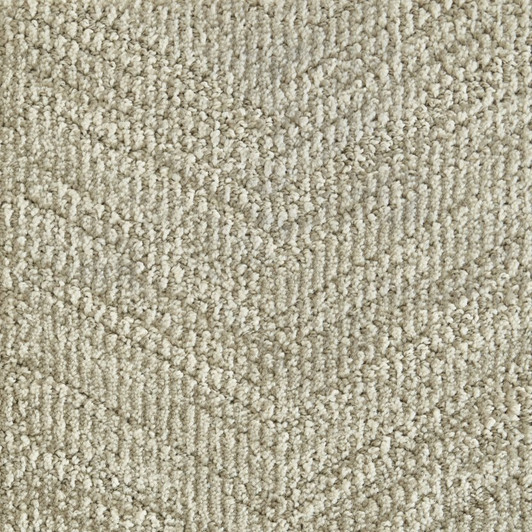 Stanton Atelier Journey Circuit Nylon Fiber Residential Carpet