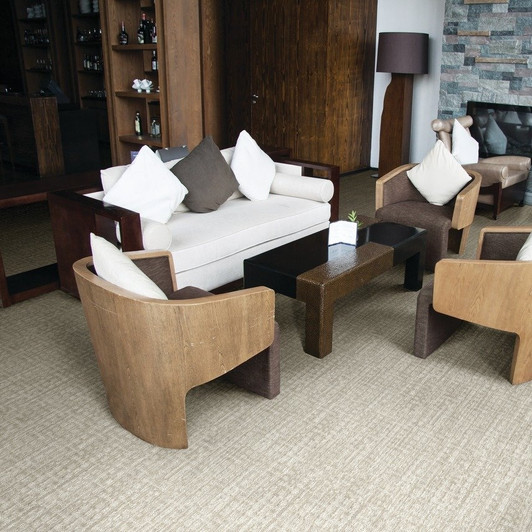 Stanton Atelier Portfolio Whimsy Nylon Fiber Residential Carpet Room Scene