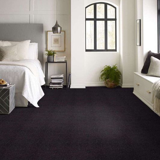Shaw Sandy Hollow Classic IV E0555 15' Residential Carpet Room Scene