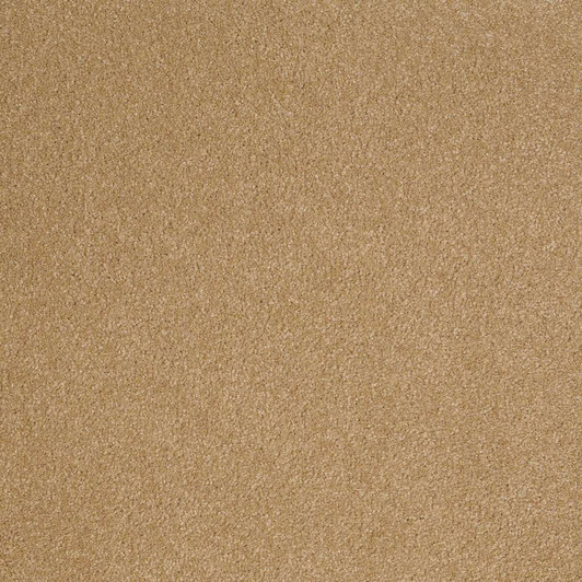 Shaw Sandy Hollow Classic I E0549 15' Residential Carpet