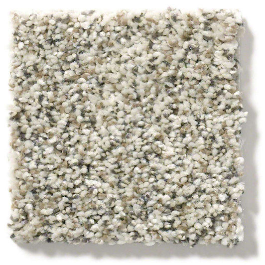 Shaw Simply the Best All Set I Residential Carpet