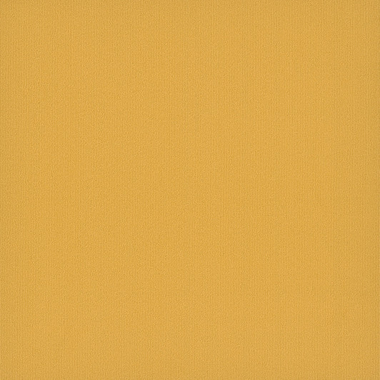 Engineered Floors Pentz Colorburst Tile 7049T Commercial Carpet