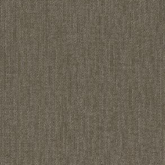 Shaw Philadelphia Commerical Function 54908 Classicbac Carpet