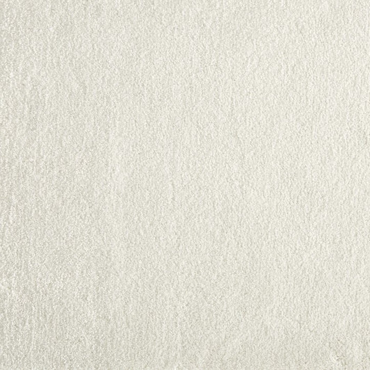 Stanton Atelier Marquee Muse Nylon Fiber Residential Carpet