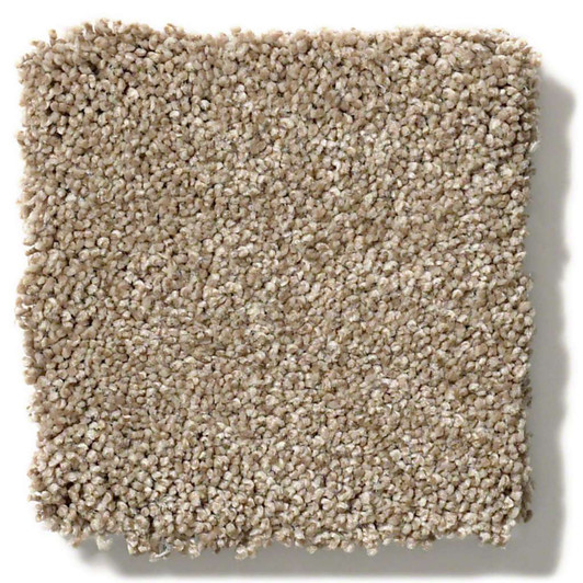 Shaw Anso Colorwall Find Your Comfort NS II EA815 Residential Carpet