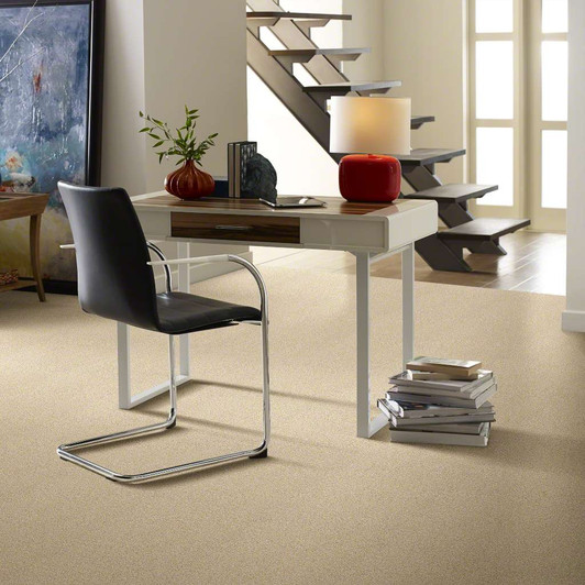 Shaw Simply The Best Stay Fit 5E320 Residential Carpet