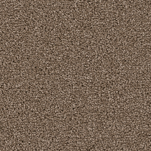 Soft Harmony III 5K760 Textured Bistro PureColor Carpet