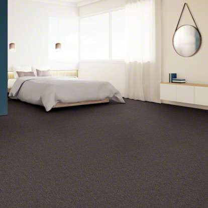 Shaw Philadelphia Commercial Carpet Carpet