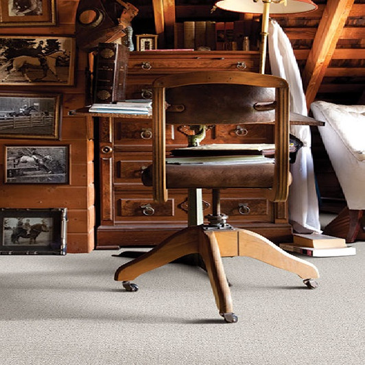 Buy Masland Residential Carpet at Carpet for great value