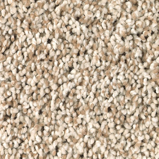 Mohawk Air.O Fresh Start II Residential Carpet is available for a great