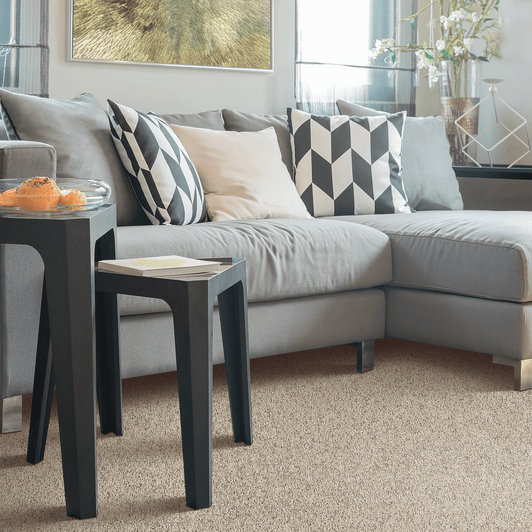 Mohawk Forever Fresh Ultrasoft Soft Sensations II 2N53 Residential Carpet Room Scene