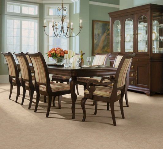 Fabrica Classic Elegance 326CE Envision Residential Carpet Room Scene