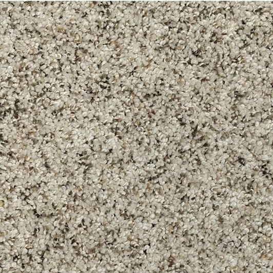 Mohawk Everstrand Soft Appeal Soft Details II 3G13 Residential Carpet