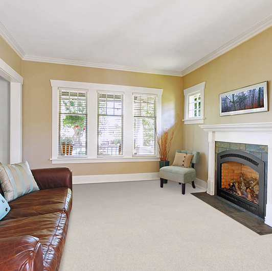 Southwind Aurora Nuance A155 Residential Carpet Room Scene
