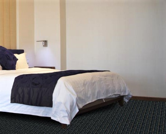 Georgia Carpet SH1920 Nylon Light Commercial Carpet Room Scene