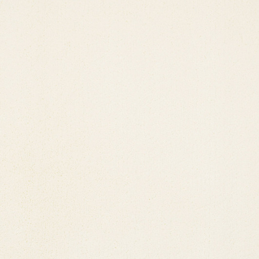 Fabrica Dolce 207DL Nylon Residential Carpet