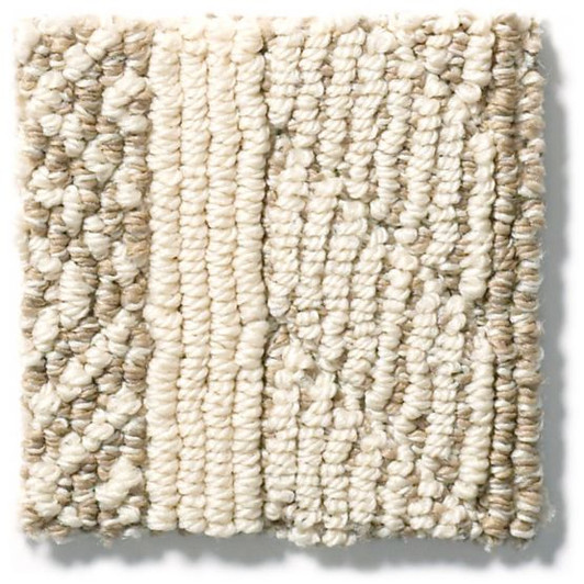 Anderson Tuftex Unleashed Speak ZZ085 Residential Carpet