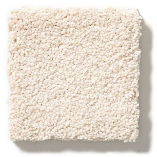 Anderson Tuftex Pet Perfect Pawparazzi I ZZ092 Residential Carpet