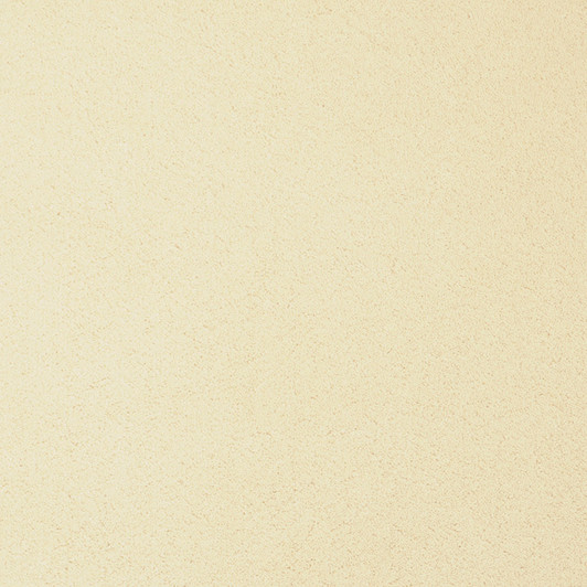 Fabrica Chez 100 204CH Nylon Residential Carpet