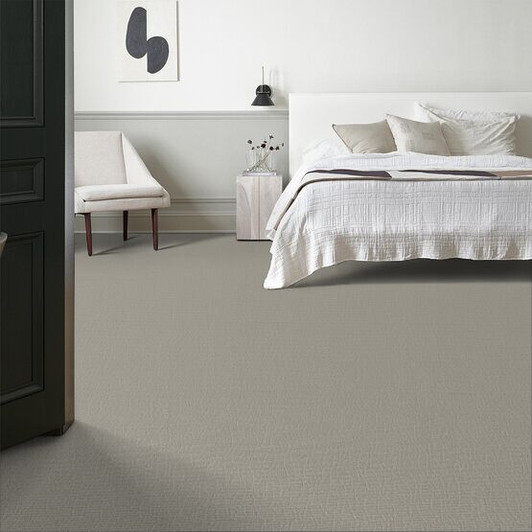 Anderson Tuftex Pet Perfect Plus Knickknack Carpet