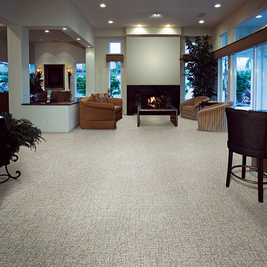 Fabrica Visage 532VS StainMaster Residential Carpet Room Scene