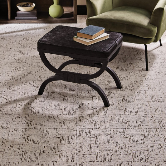 Anderson Tuftex Signature Moderne ZZ303 Residential Carpet Room Scene