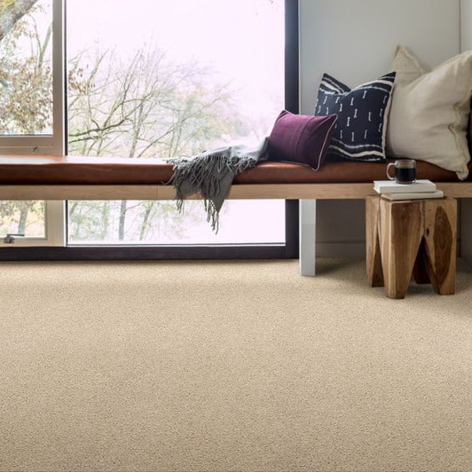 Anderson Tuftex Ocean View ZZ043 Residential Carpet Room Scene