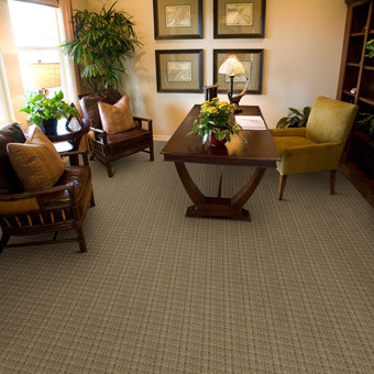 Buy Masland Cheval Residential Carpet At Georgia Carpet