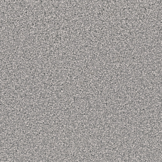 Dreamweaver Broadcast Plus 3125_945 Residential Carpet