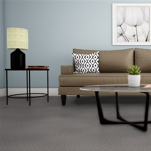 Dreamweaver Broadcast Plus 3125_945 Residential Carpet Room Scene