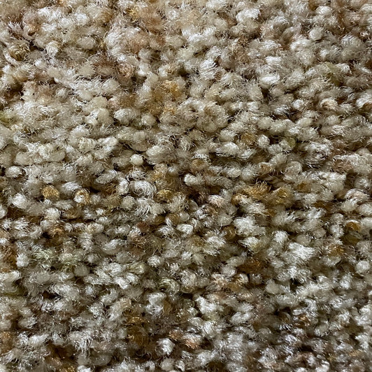Beaulieu Zimbabwe Laurel 444 Square Feet 50 oz. Residential Carpet Final Sale FREE SHIPPING Beaulieu Zimbabwe Laurel 444 Square Feet 50 oz. Residential Carpet Final Sale FREE SHIPPING