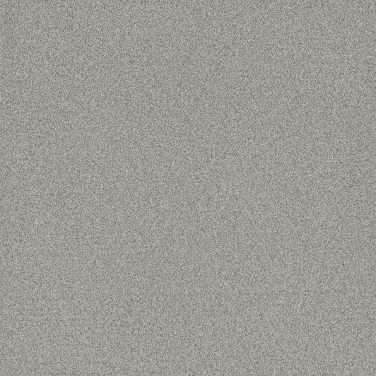 Dreamweaver All In II 9565 Residential Carpet
