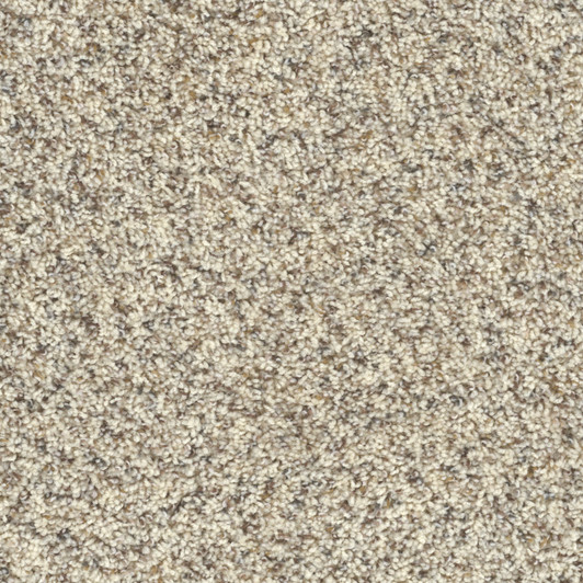Dreamweaver Toast of the Town 5315 Residential Carpet