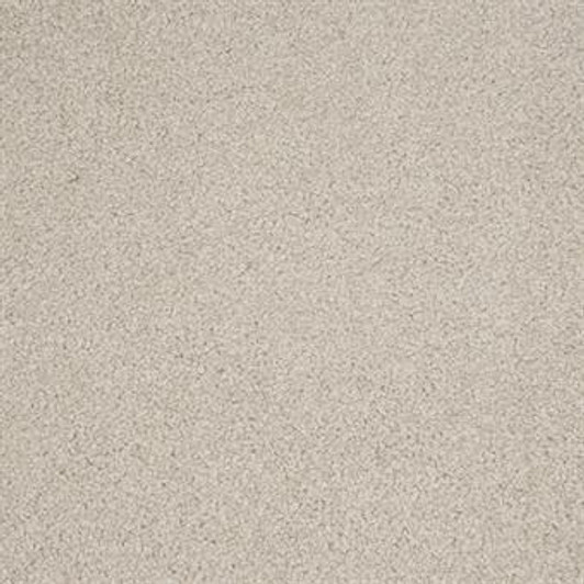 Masland Harbor Town 9635 Nylon Residential Carpet