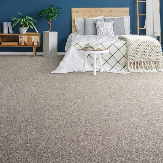 Buy Dreamweaver Gold Standard I 4046 Residential Carpet at Georgia