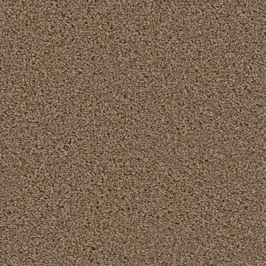 Dreamweaver Exceptional 7402 Residential Carpet