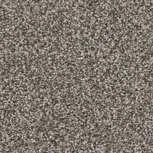 Dreamweaver Reflections III 5375 Residential Carpet