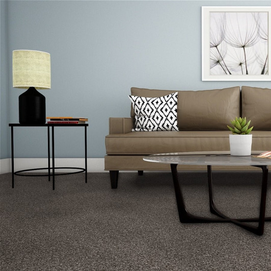 Dream Weaver Carpet is at Georgia Carpet for Great Value