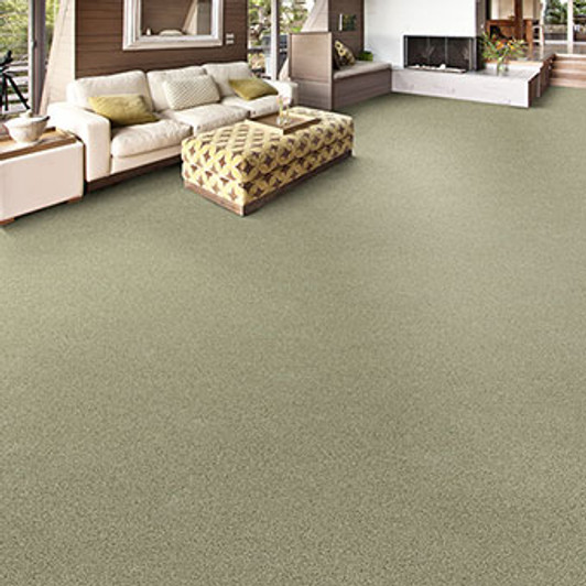 Masland Knockout 9615 Residential Carpet Room Scene