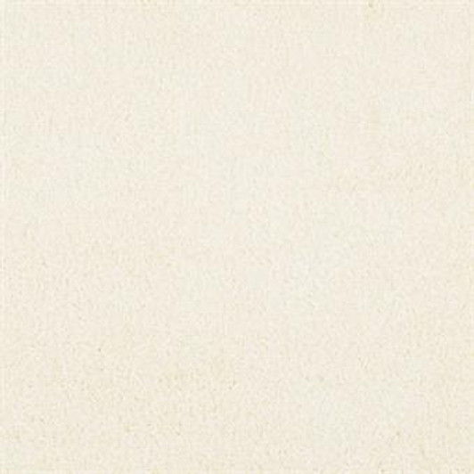 Masland Miami 9496 StainMaster Residential Carpet